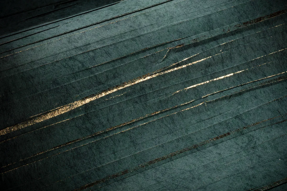 LX1138_Fusion_Juniper_Detail