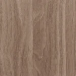 Sequoia