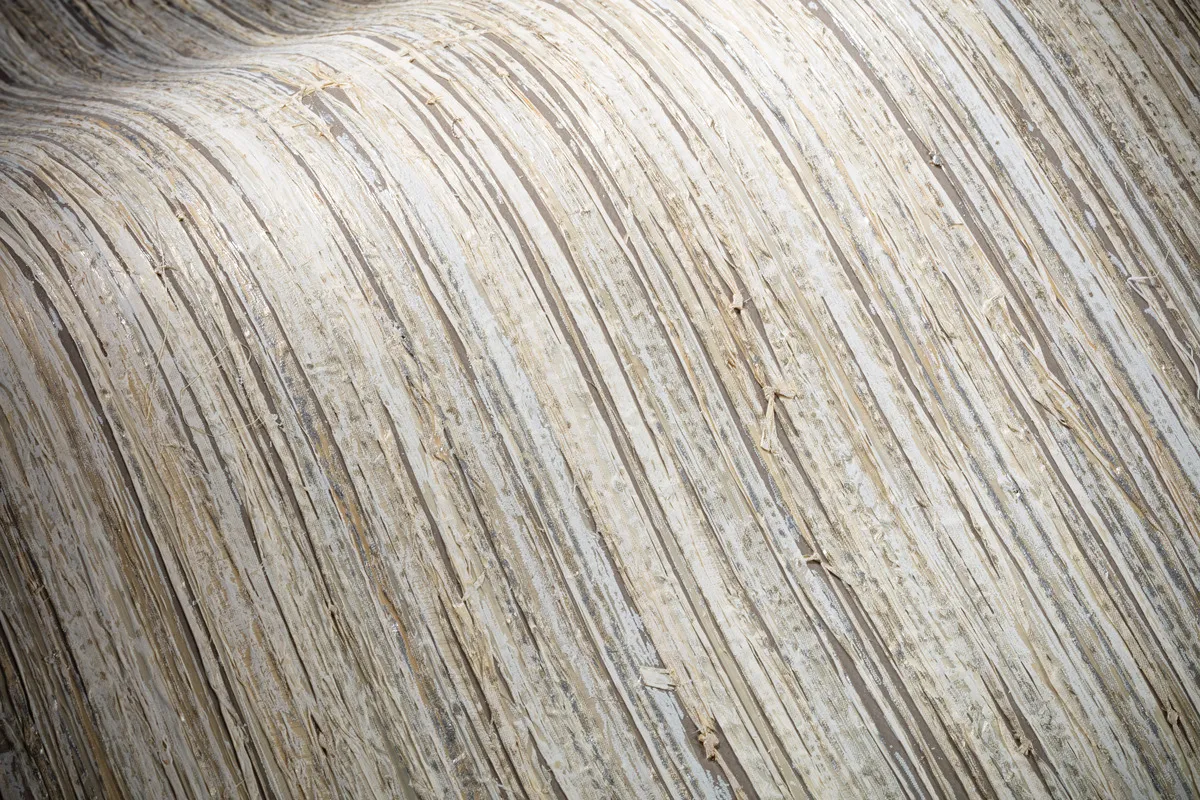 LX1035_RaffiaPalm_Dove_Detail