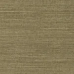 Ecru Olive