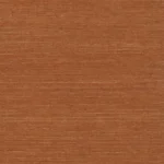 Apricot Orange
