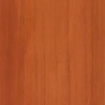 Raw Sienna
