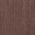 Rambler Rose