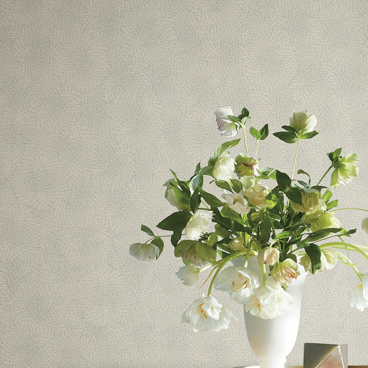 WCC_LX1293_Wallflower_Dove